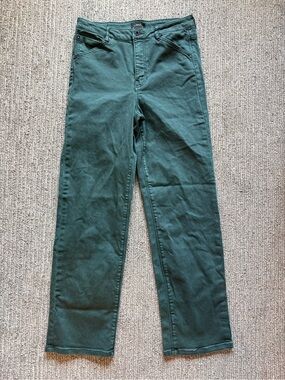 Roark HWY 395 Pants Mens 30 Green Stretch Travel Hiking Outdoor Casual